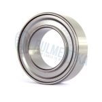 Rulment DS83B231D PFI