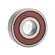 Rulment 62304/17 2RS NTN