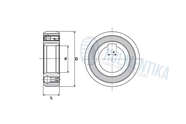 Rulment CSK25 P IMP