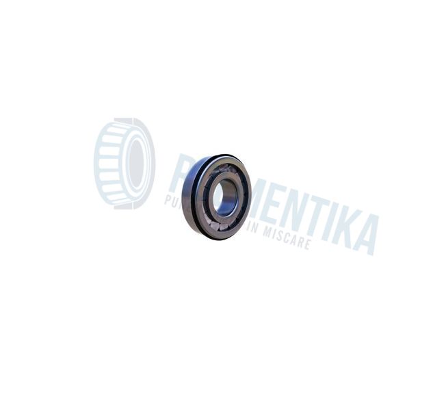 Rulment F19046 FERSA