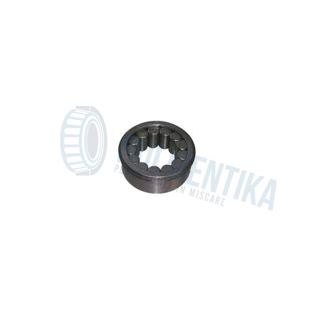 Rulment F19005 FERSA
