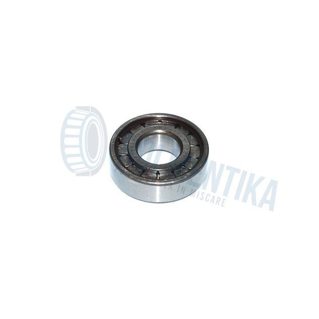 Rulment N40000.S05.H100 SNR