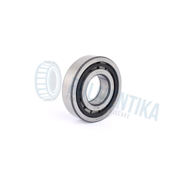 Rulment F19020 FERSA
