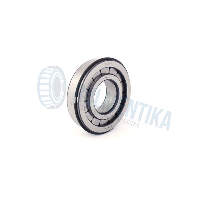 Rulment F19006 FERSA
