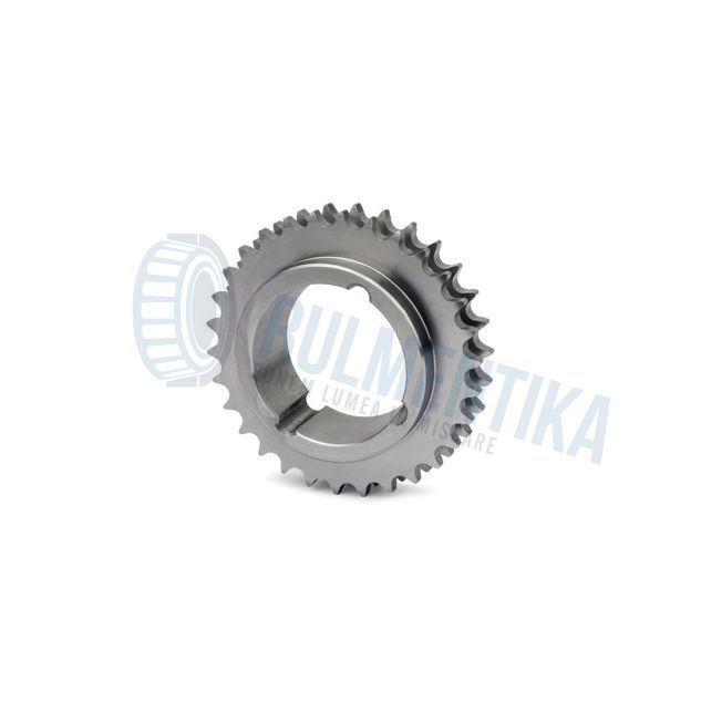 ROATA LANT 06B-2(1210) Z25