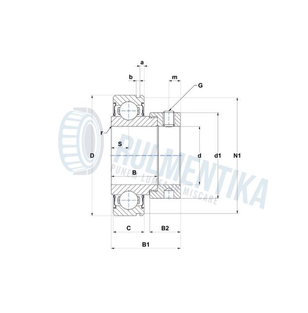 Rulment RAE30NPP PFI