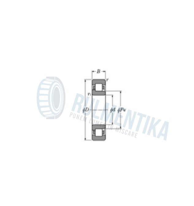 Rulment NJ209 ET2X/C3 NTN