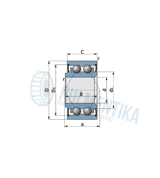 Rulment PN60038 RBF