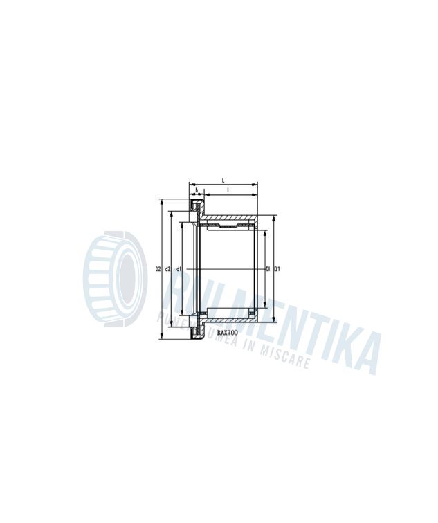 Rulment RAX725 NADELLA